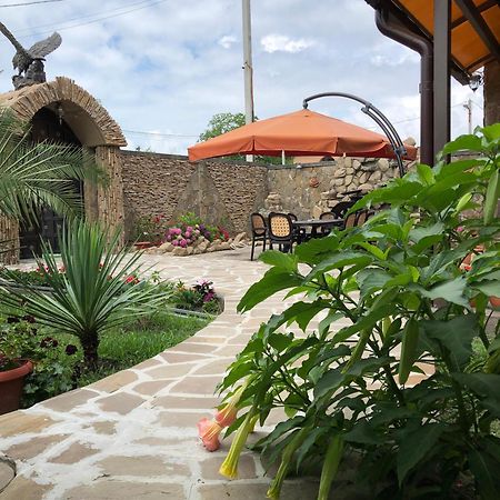 Hotel Гостевой Дом Siella Suchumi Zewnętrze zdjęcie